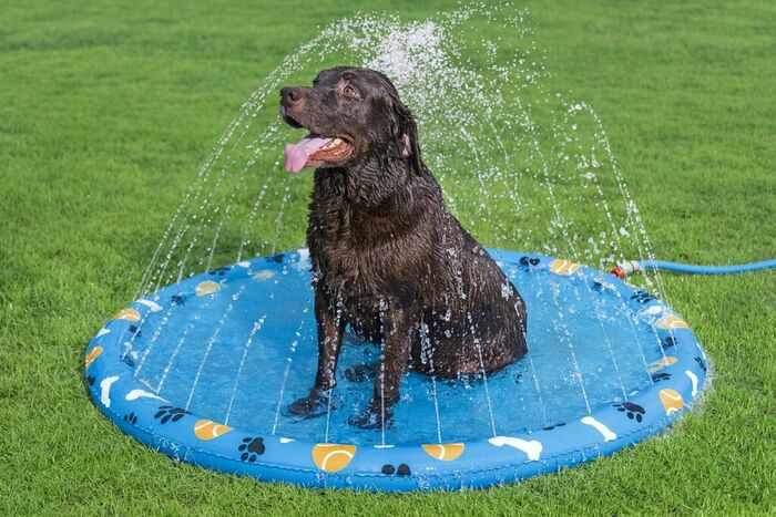 Bestway Fetchin' Fun plaskedug